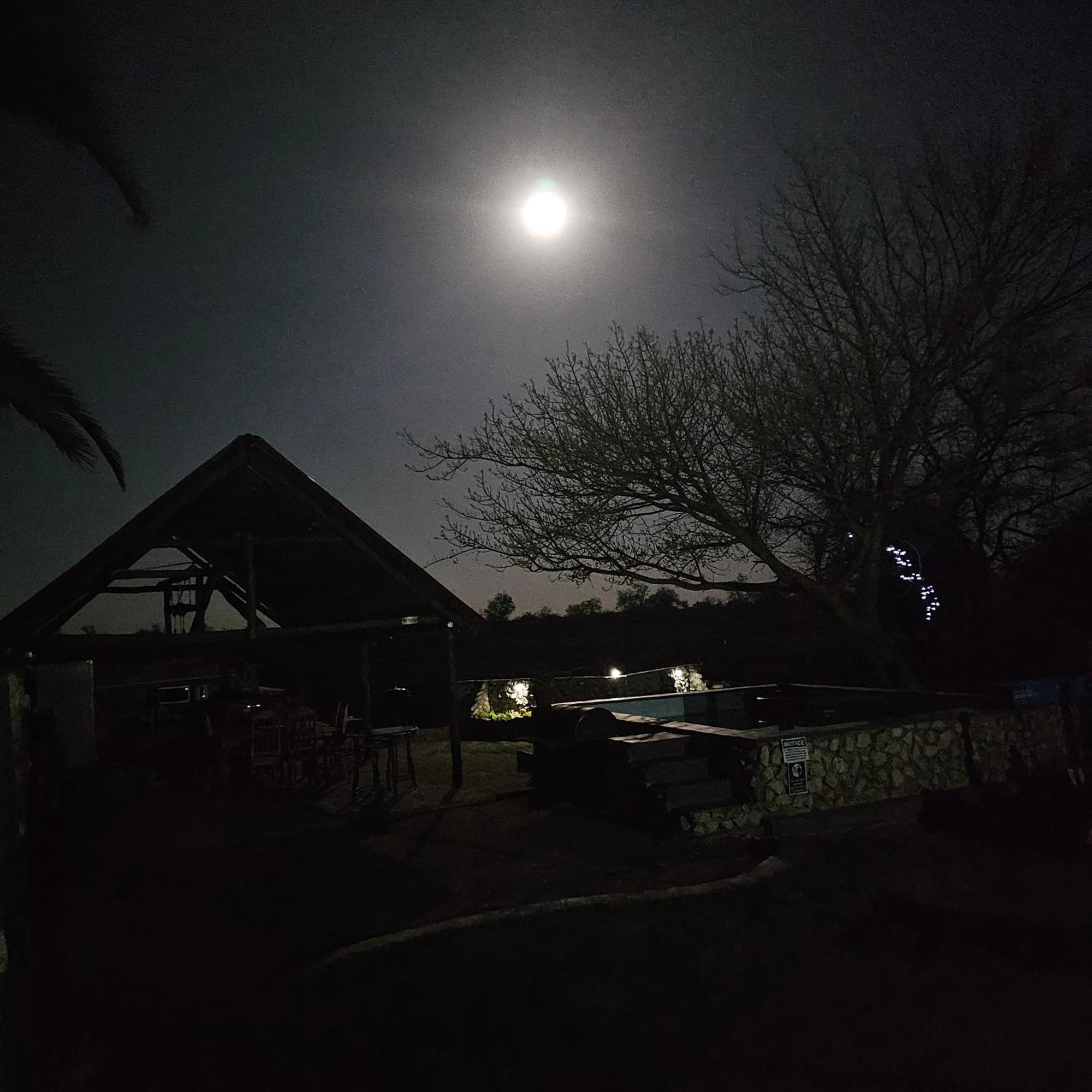 Tamboti Farm Accommodation Tsumeb Buitenkant foto