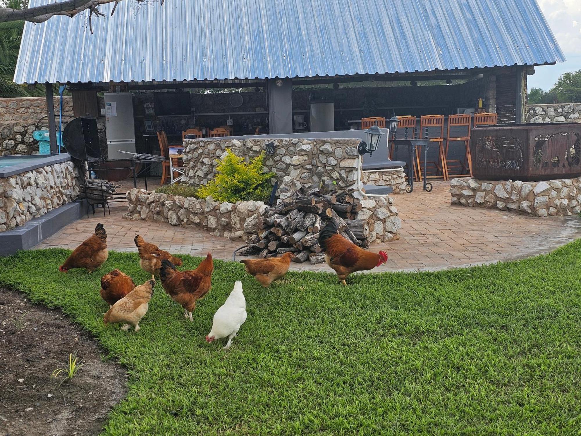 Tamboti Farm Accommodation Tsumeb Buitenkant foto