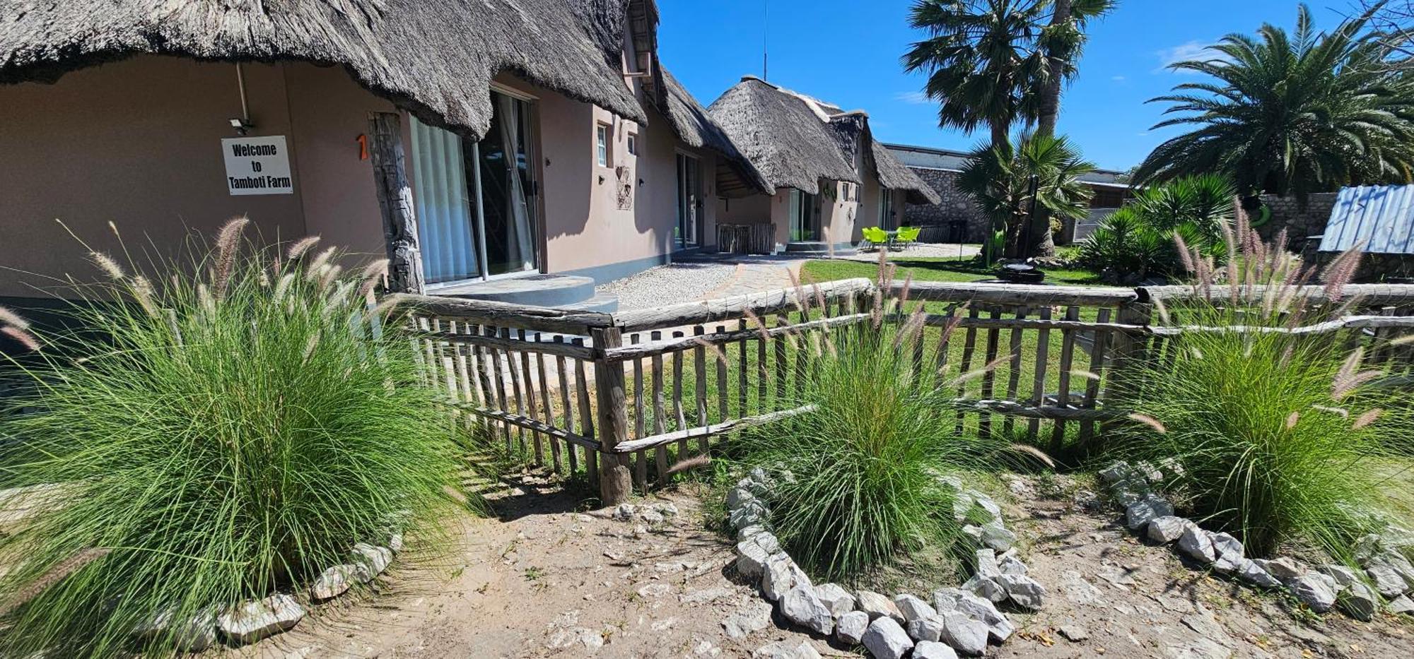 Tamboti Farm Accommodation Tsumeb Buitenkant foto