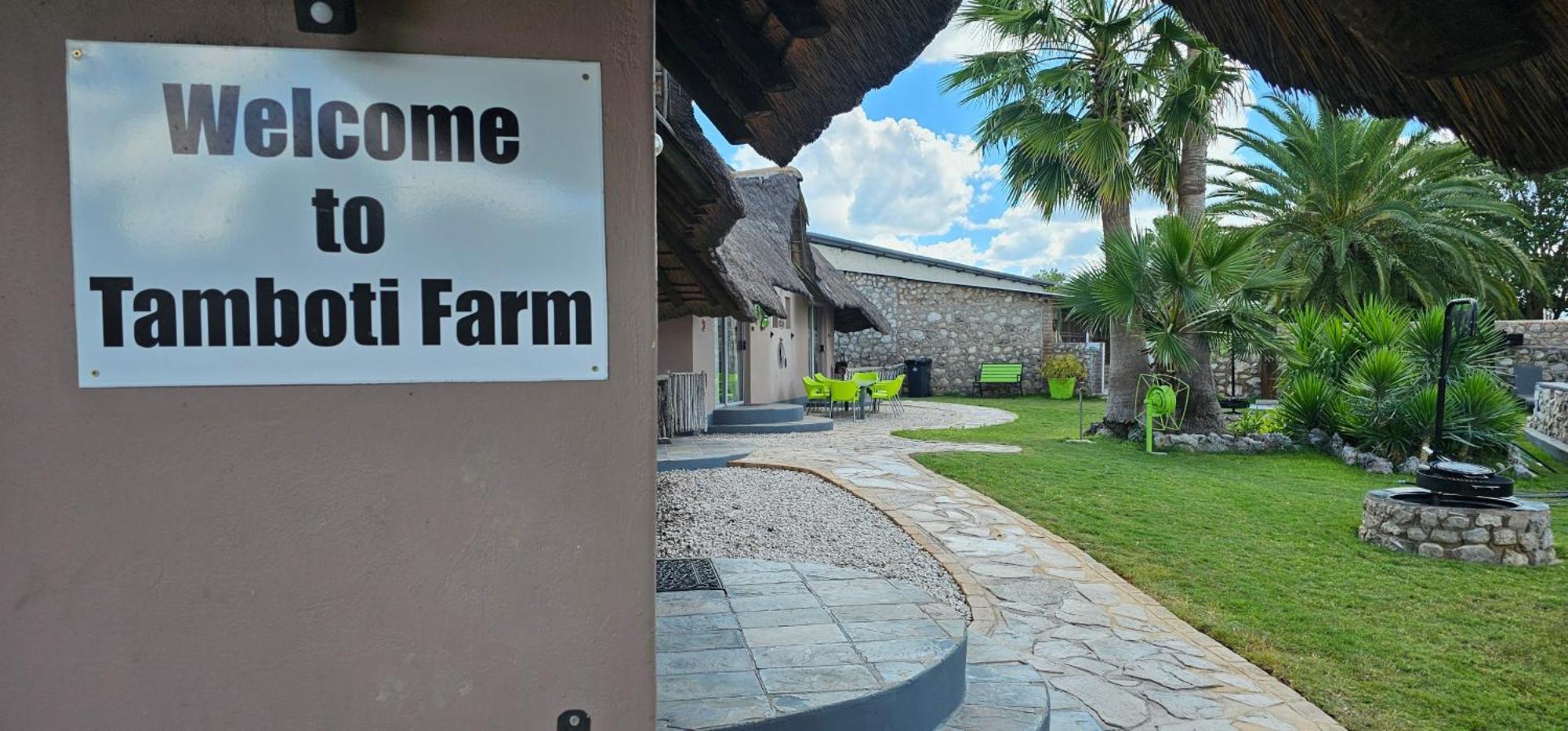 Tamboti Farm Accommodation Tsumeb Buitenkant foto